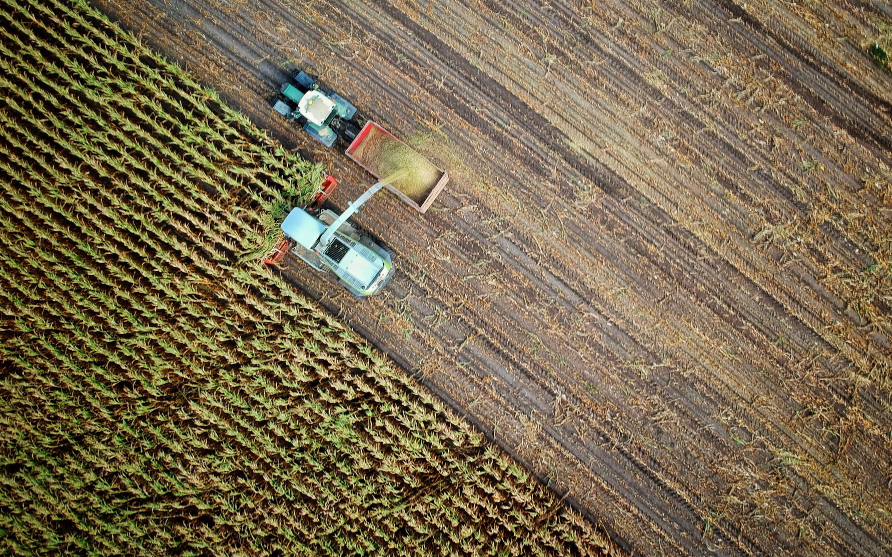 Agriculture and Livestock