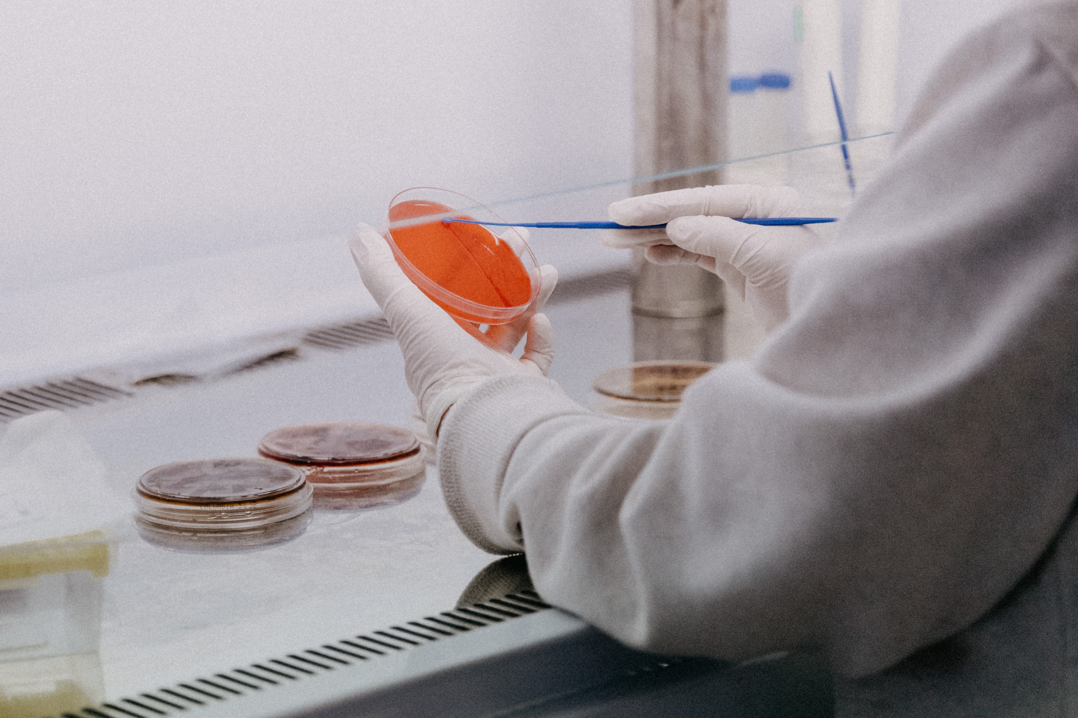 La BioRegió es el ecosistema de las ciencias de la vida y la innovación en salud de Cataluña que ofrece servicios de aceleración y crecimiento empresarial, promueve acciones formativas, debates, elabora publicaciones, desarrolla proyectos estratégicos y dispone de bolsa de empleo. BioRegión de Cataluña
