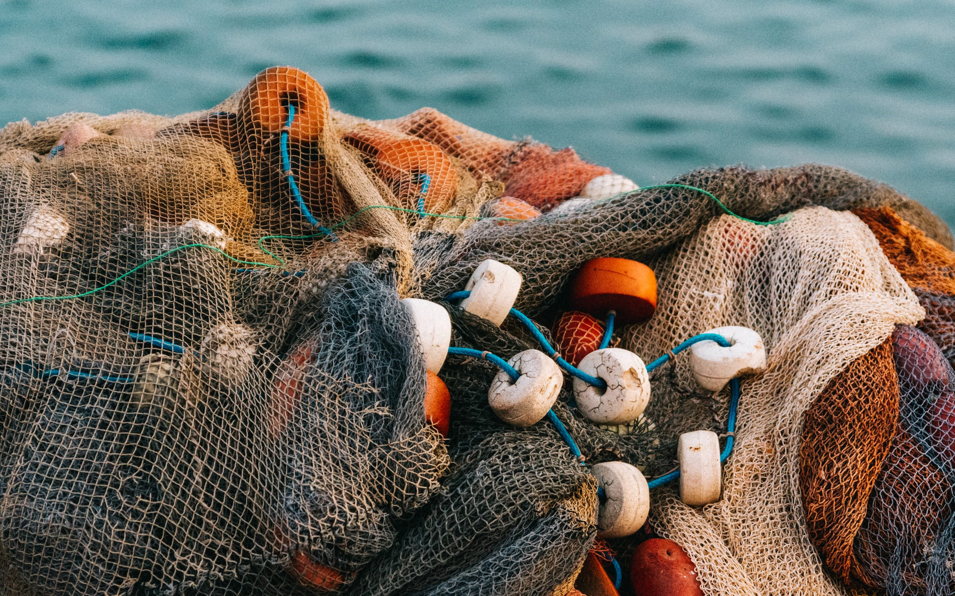 Pesca y acuicultura